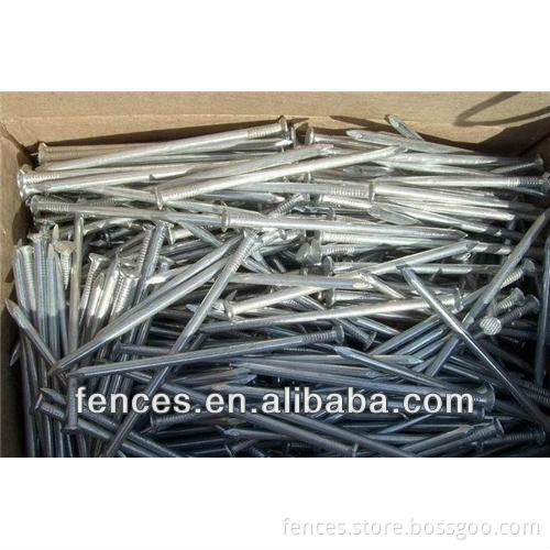 High Quality Common Nail From Factory